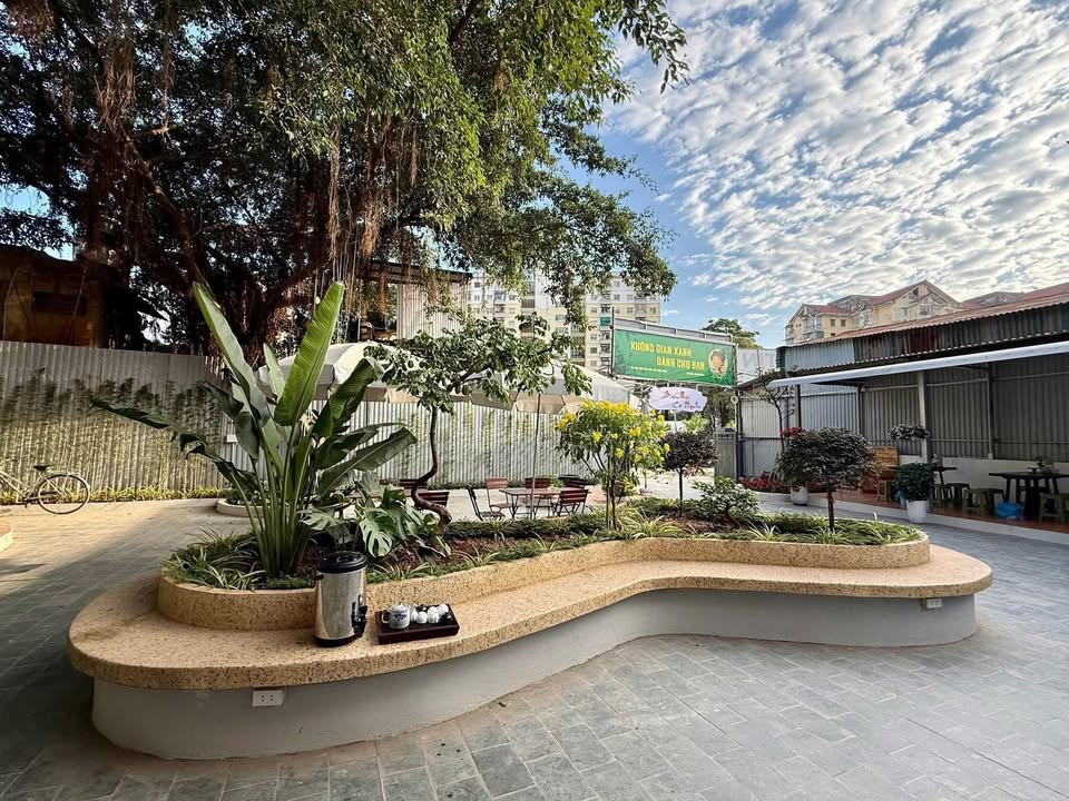 Mặt bằng sân vườn biệt thự 300m² Phố Châu Long, Ba Đình - Kinh doanh lý tưởng