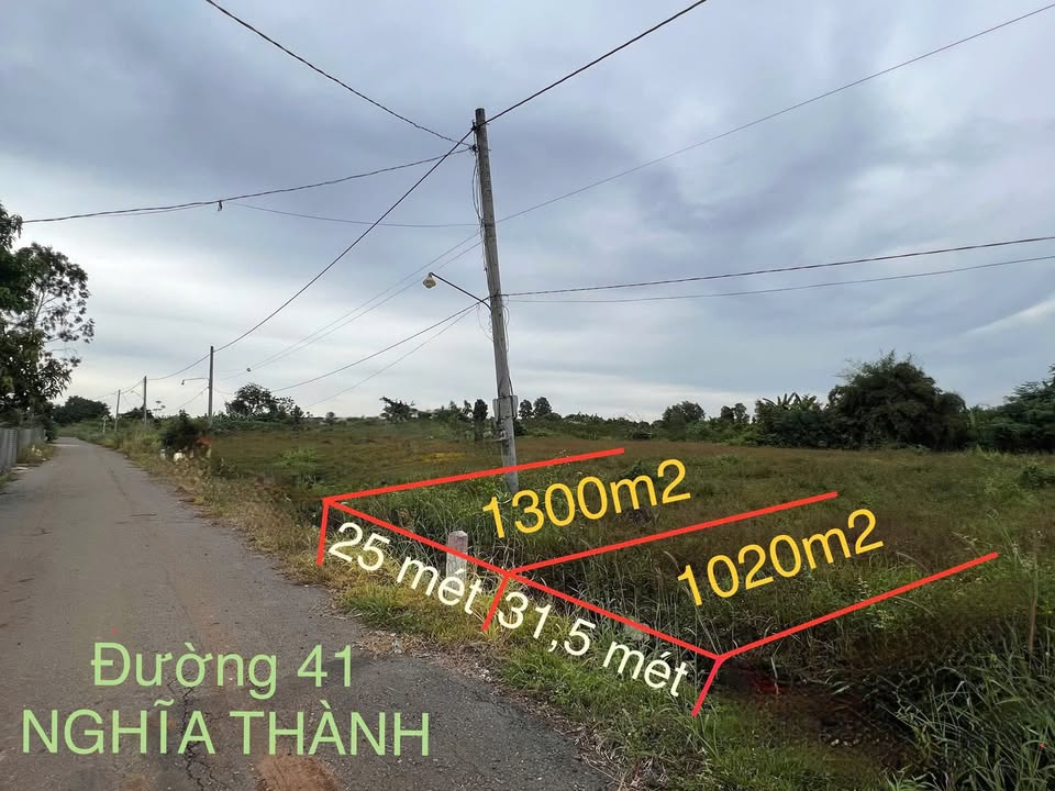 Đất Nền Nghĩa Thành Châu Đức 2300m² - Sổ Hồng Sẵn Sàng Đầu Tư