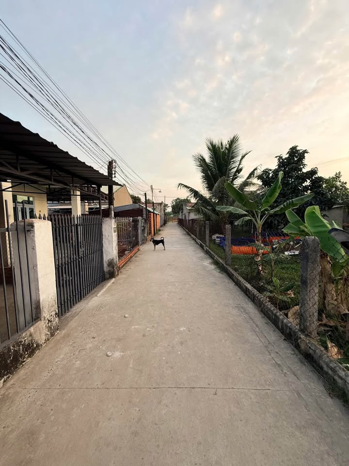 Đất nền Phường 1 Tây Ninh 125m² - Sổ đỏ chính chủ, đường ô tô!