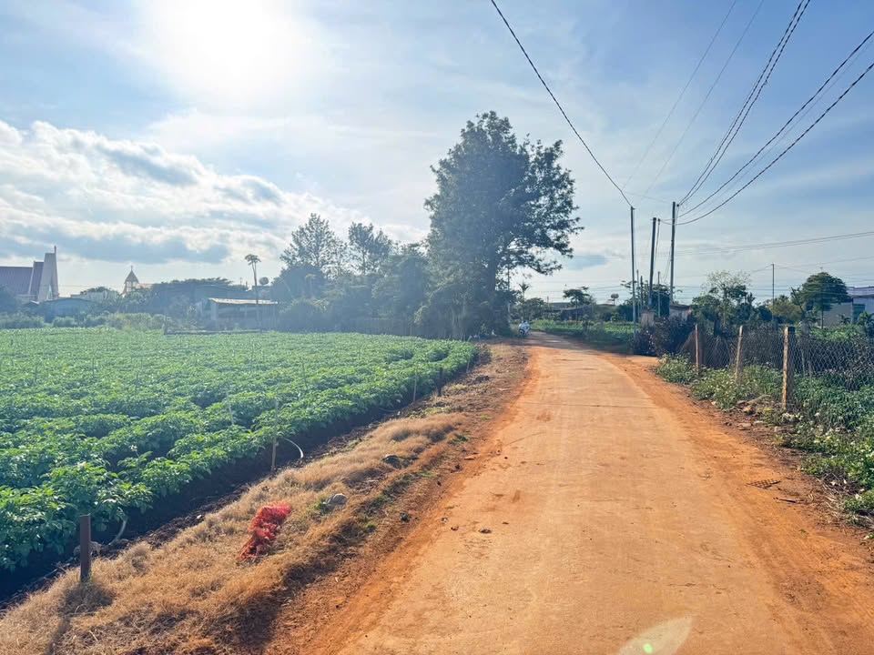 Đất nền Đạ Ròn 336m² 850 triệu - Đường to ô tô