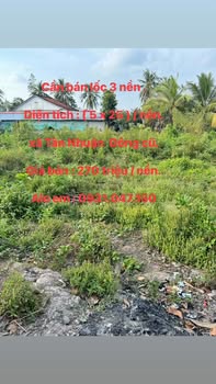 Đất nền Tân Nhuận Đông 125m² 270 triệu - Hạ tầng hoàn thiện