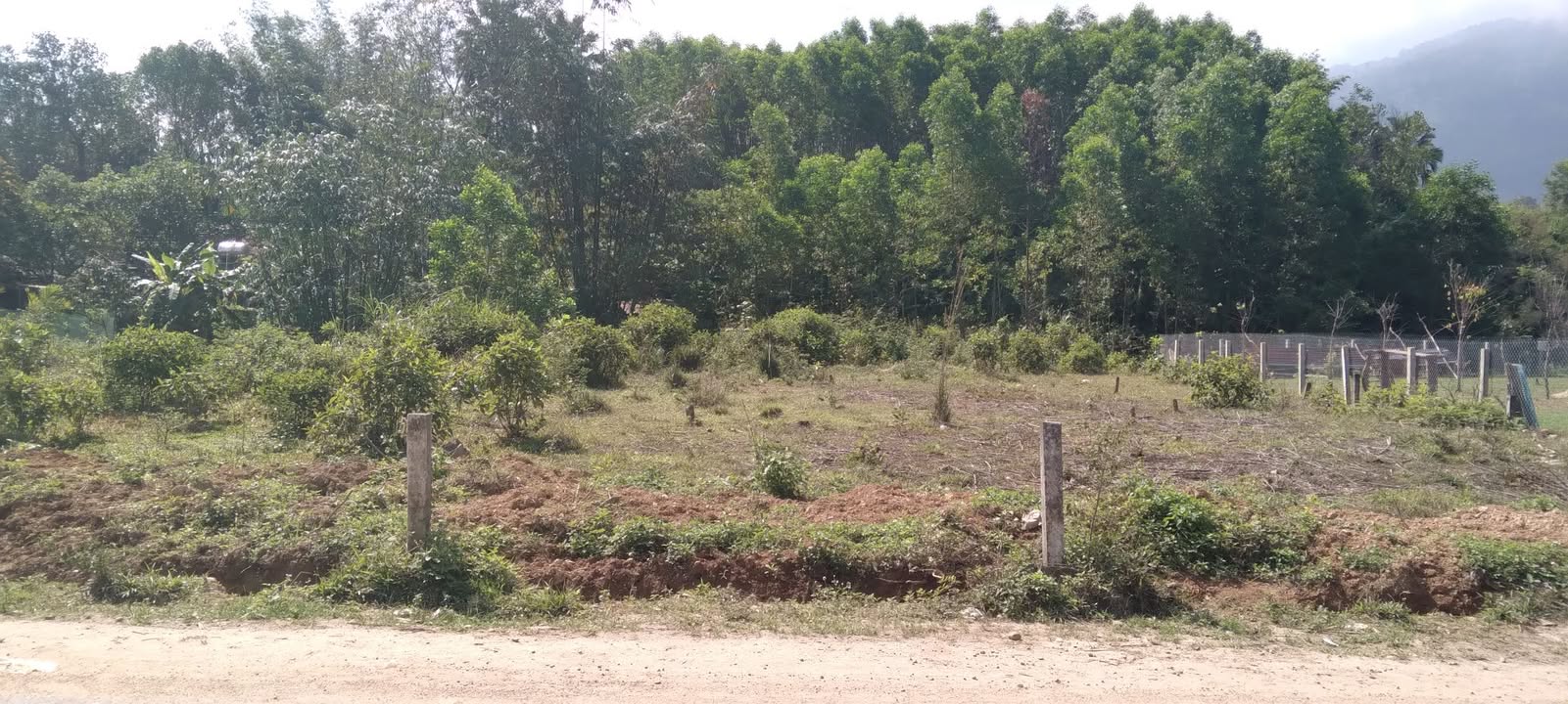 Bán Đất Nghỉ Dưỡng 1000m² Mặt Tiền QL 14G, Đà Nẵng - Sổ Đỏ Rõ Ràng