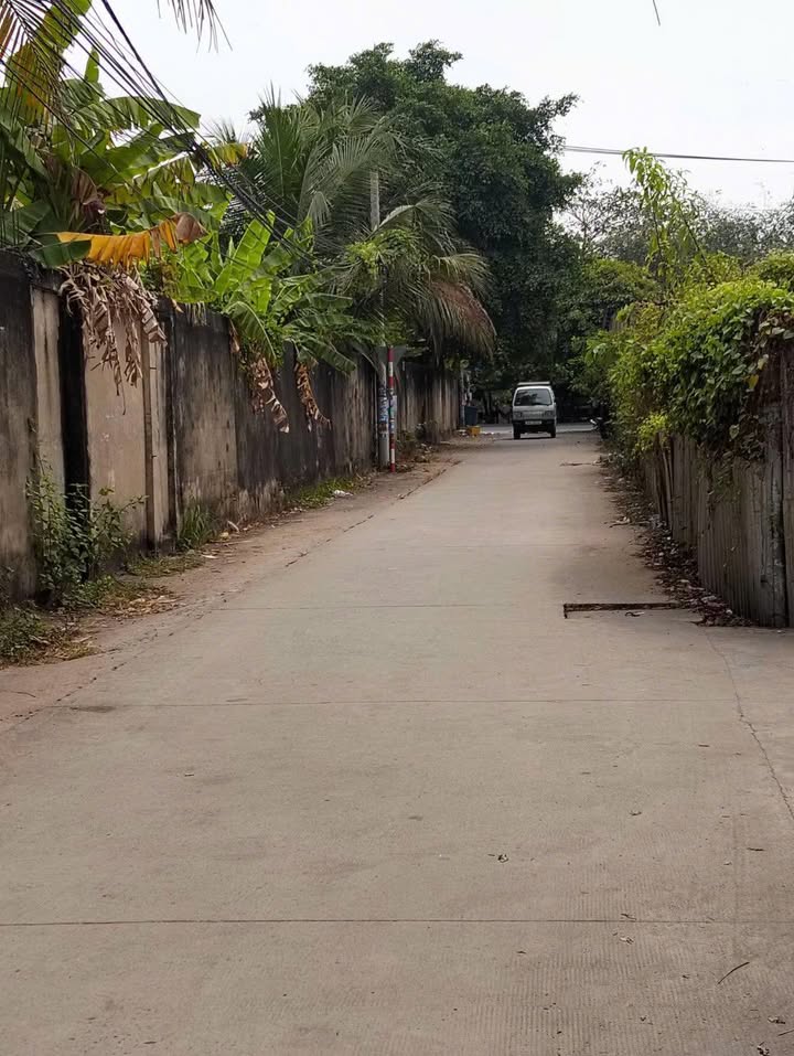 Đất 320m² Bình Chánh - Sổ hồng riêng, giá dưới 3 tỷ