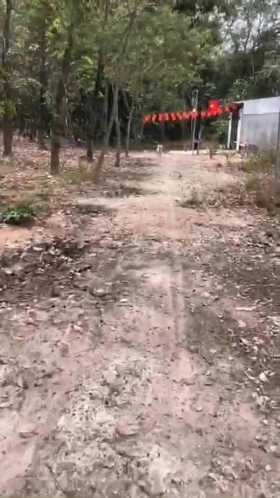 Đất Nền Hắc Dịch 135m² - Sổ Đỏ Sẵn Sàng, Giá Tốt Đầu Tư