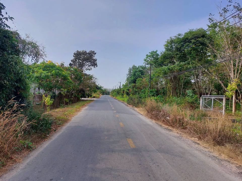 Cho thuê nhà xưởng 3500m² Củ Chi - Sẵn sàng hoạt động ngay