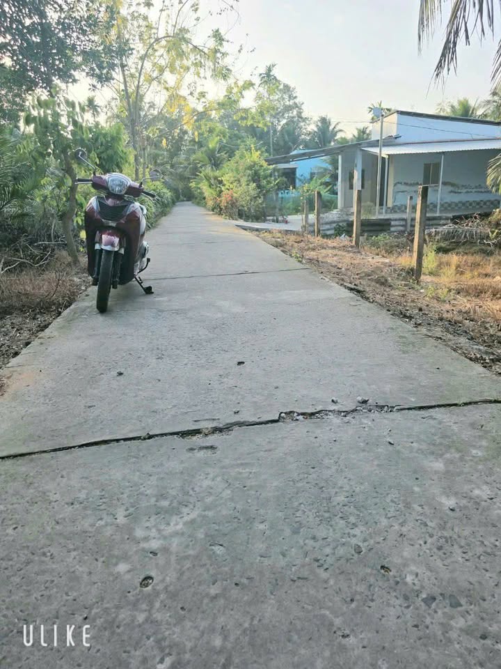 Bán Đất Vườn Hữu Định Bến Tre 3578m² Giá 1.1 Tỷ/Công - Sổ Đỏ Chính Chủ