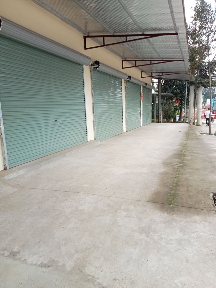 Cho thuê nhà Ba Vì, Hà Nội - Giá thỏa thuận, không gian xanh mát