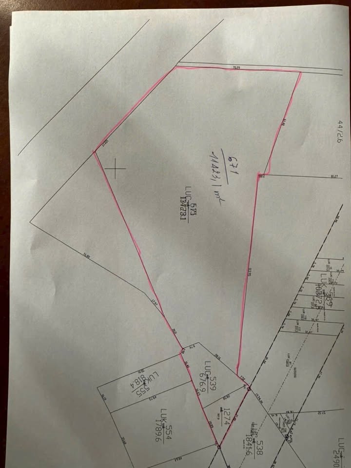 Đất Nền 13.000m² Mặt Tiền 37m Đường N8 Trảng Bàng - Sẵn Sàng Làm Kho Xưởng