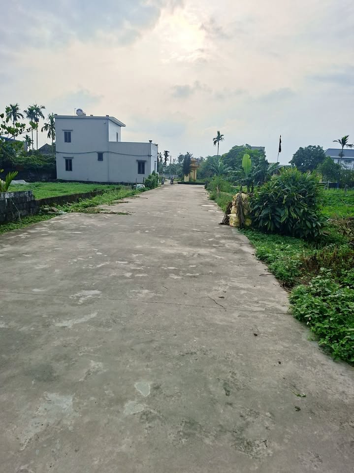 Bán đất Vụ Bản Nam Định 145m² - Mặt tiền 5.2m cực đẹp, ô tô tránh