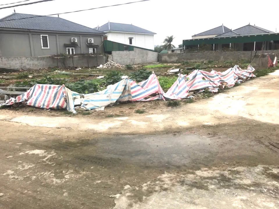 Đất nền Nghi Quang 101.9m² chỉ 1 tỷ - Tiềm năng tăng giá vượt trội!