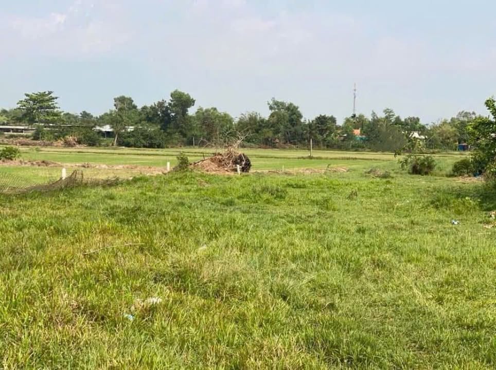 Đất vườn Hiệp Hòa, Đức Hòa 500m² - Tiềm năng tăng giá cực tốt!