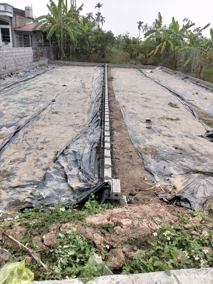 Bán đất Ứng Hòa 182m² giá 2 tỷ - Tiềm năng tăng giá cao!