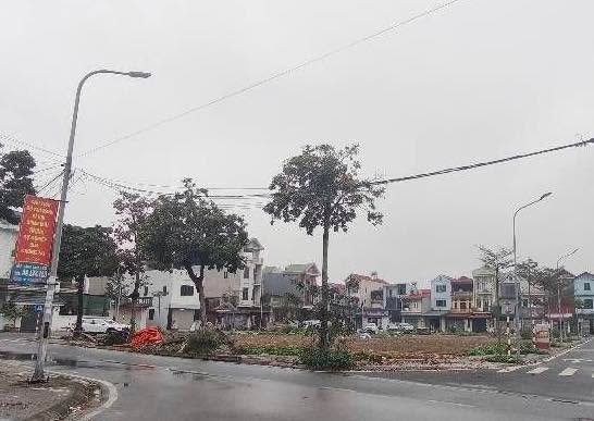 Đất nền Liên Hà, Đông Anh 96m² - Đường to ô tô, tiềm năng tăng giá!