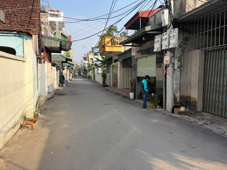 Đất nền Cốc Hạ - Đông Hương 113.7m² - Sổ đỏ chính chủ, giá đầu tư hấp dẫn