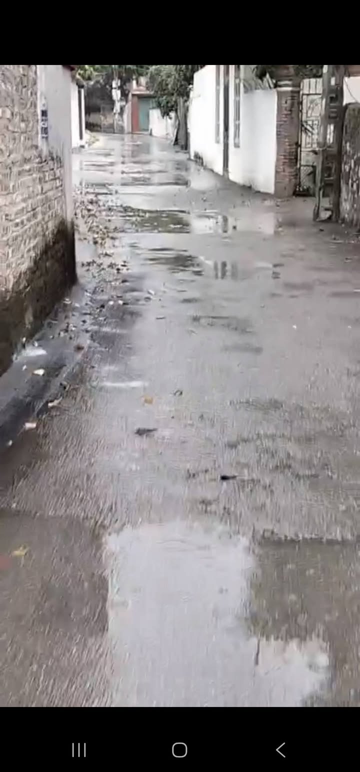 Đất nền Lãng Ngâm, Gia Bình 80m² - Tiềm năng tăng giá vượt trội!