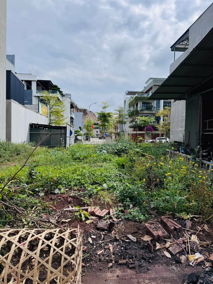 Đất đấu giá Kim Sơn, Sơn La 58m² - Sổ đỏ sẵn sàng giao dịch