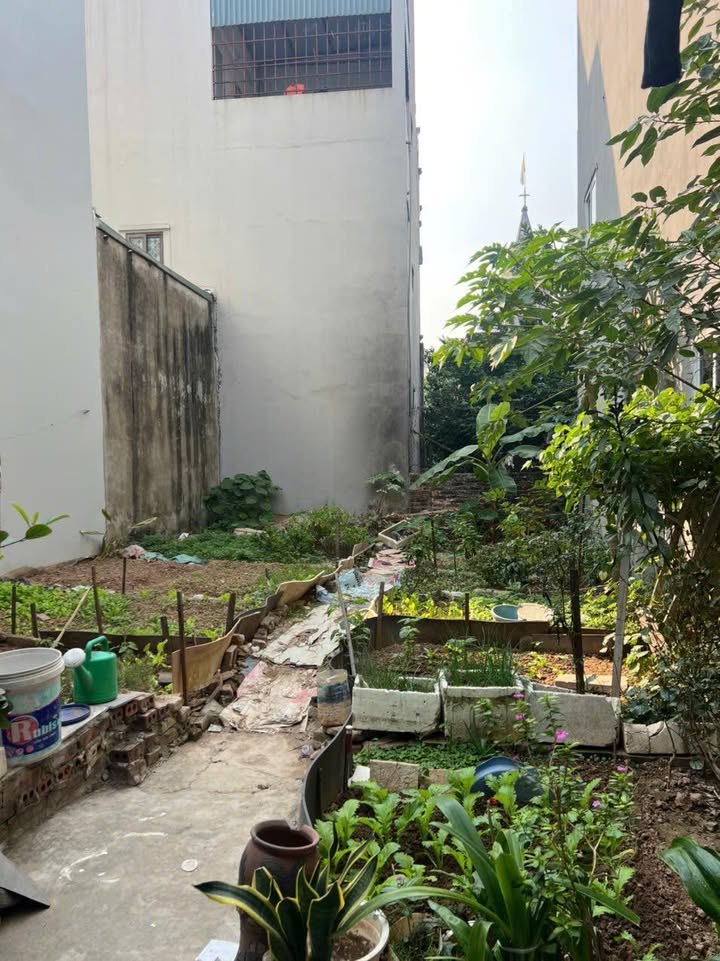 Đất nền Vĩnh Ninh Đại Thanh 50m² 4,x tỷ - Đường to ô tô tận nơi!