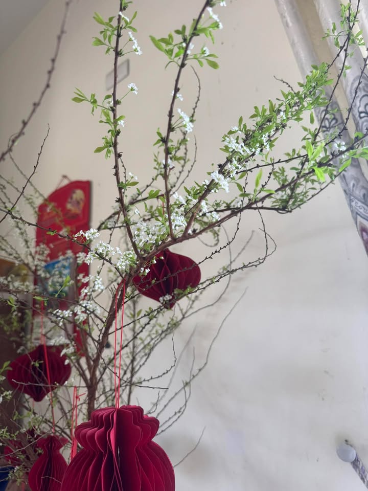 Đất nền Phường Nguyễn Trãi, TP Kon Tum 195m² - Tiềm năng tăng giá!