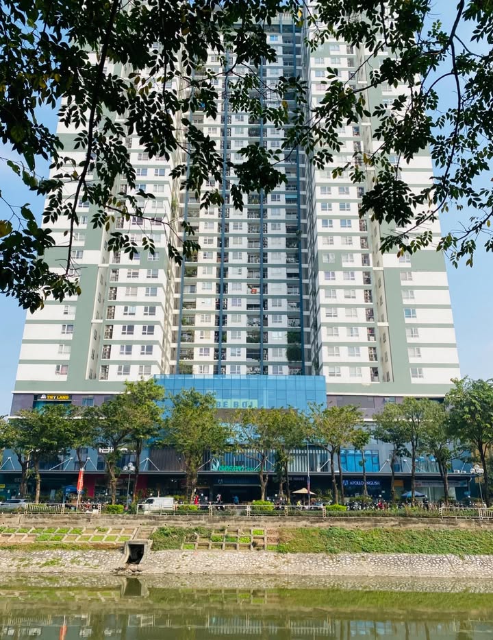 Bán nhà Vũ Tông Phan Thanh Xuân 40m² giá 12 tỷ - Ô tô đỗ cửa!