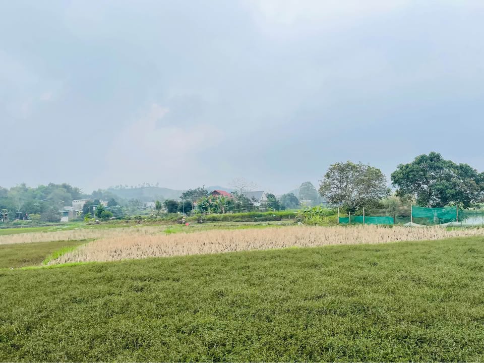 Đất Lô Góc Tuyên Quang 126m² - Giá Hời, Sẵn Sàng Đầu Tư