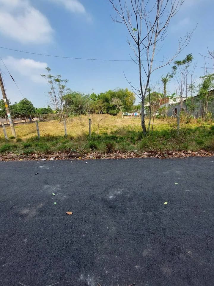 Đất Vàng Mặt Tiền Đường 791 An Phú, Củ Chi - 1781m² Sẵn Thổ Cư