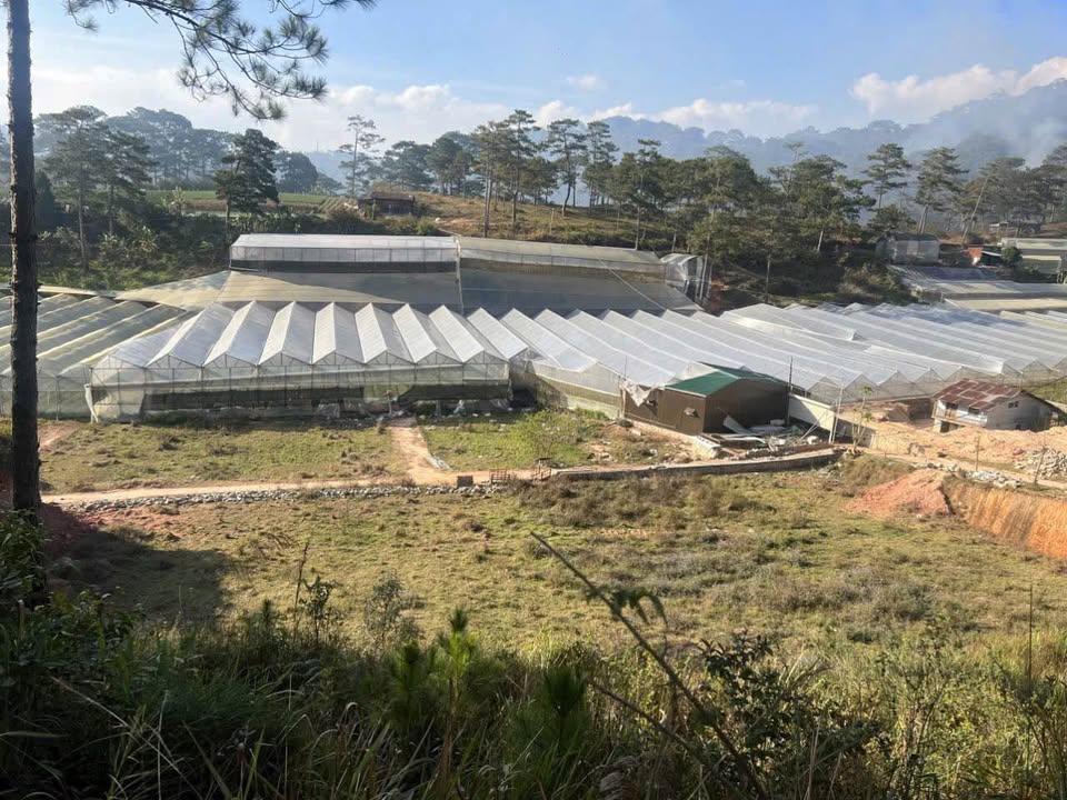 Đất nền Ankroet Lạc Dương 57.7m² - View thung lũng, tiềm năng đầu tư!