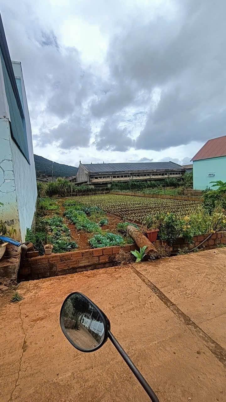 Đất Sổ Hồng Đức Trọng - 190m² Gần Chùa Giác Nhàn, Ô Tô Tận Nơi