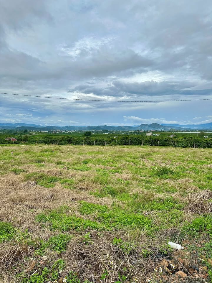 Đất nền Tân Hà Lâm Hà 225m² - Sổ đỏ chính chủ, view đẹp!