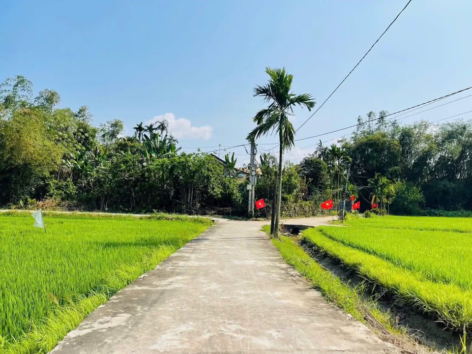 Đất nền Điện Thắng Nam 110m² view đồng mát mẻ - Giá 8xx triệu