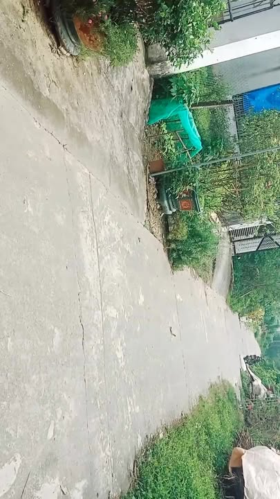 Đất Thổ Cư 100m² Sổ Đỏ Riêng - Thanh Ba, Phú Thọ