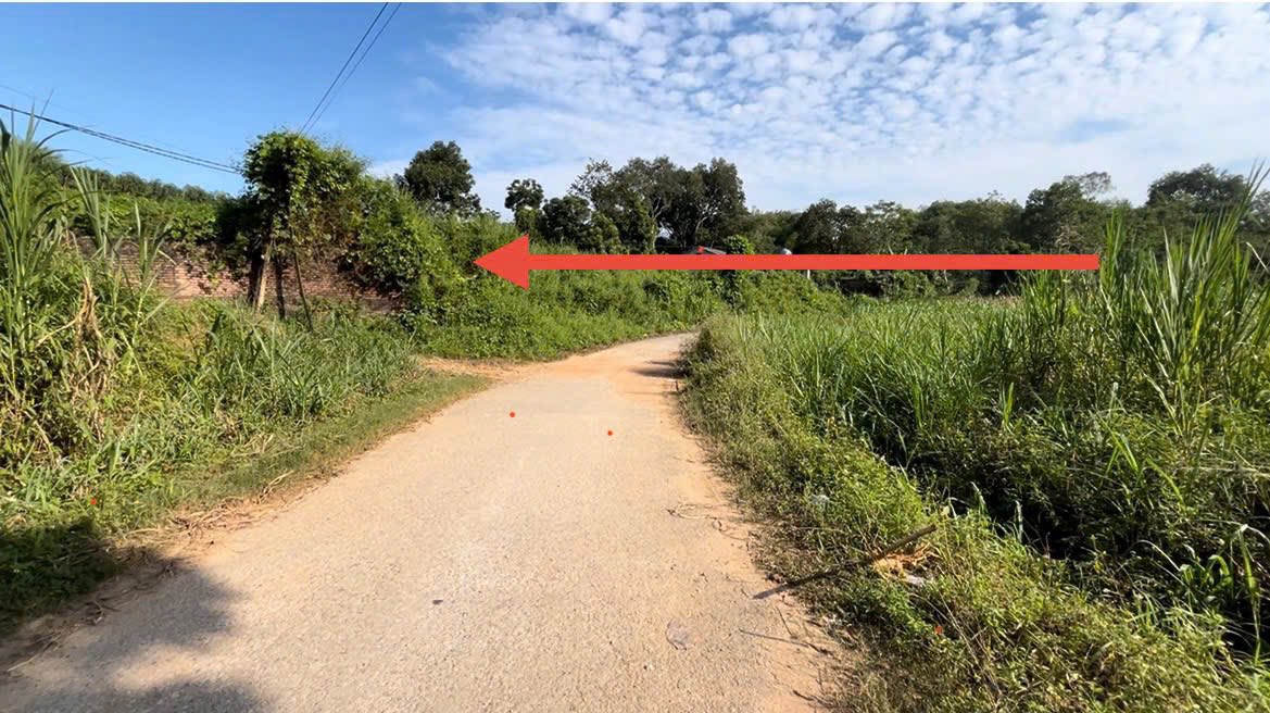 Đất nền Phong Châu 100m² - Tiềm năng tăng giá vượt trội!