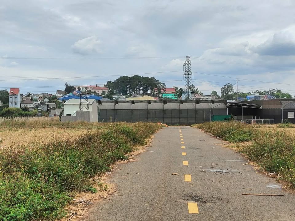 Đất Nền Phú Hội Đức Trọng 145m² chỉ 900 Triệu/Lô - Sổ Đỏ Chính Chủ!