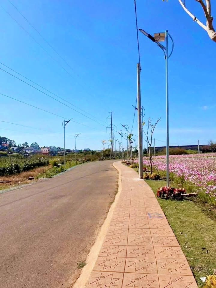 Đất nền Phú Hội Đức Trọng 165m² giá 950 triệu - Sổ đỏ chính chủ