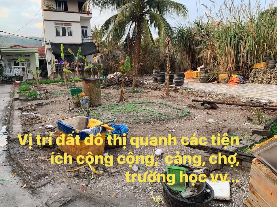 Đất nền Vân Đồn 168m² - Sổ hồng thổ cư, vị trí đắc địa