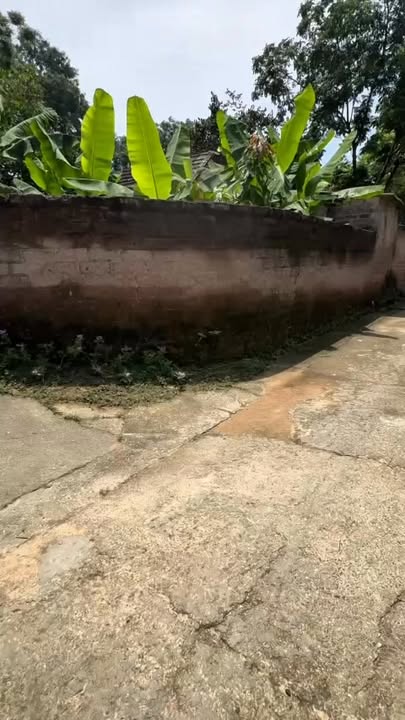 Đất nền Thanh Vỵ, Sơn Tây 174.5m² - Sổ hồng riêng, giá tốt đầu tư