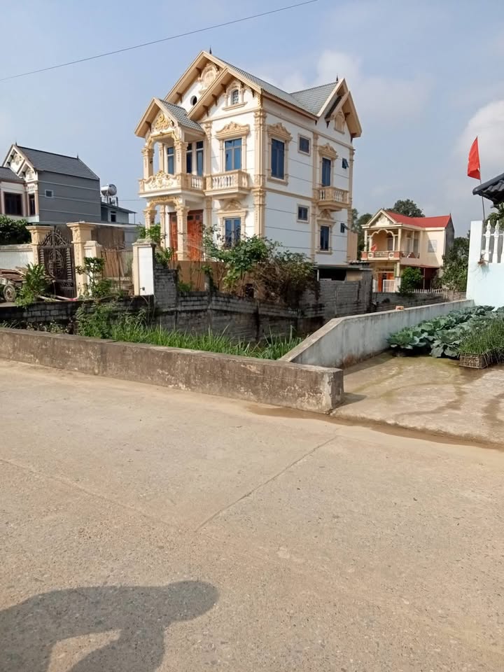 Đất biệt thự Vĩnh Quang, Vĩnh Lộc, Thanh Hóa - 240m² - Sổ đỏ sẵn sàng