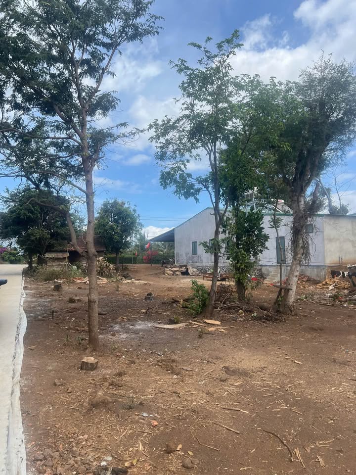 Đất Nền Buôn Phê 120m² - Sổ Đỏ Sẵn Sàng, Giá Đầu Tư