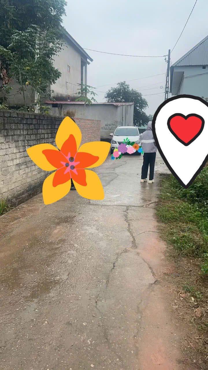 Đất nền Nghĩa Trung Việt Yên 193.4m² - Sổ đỏ chính chủ