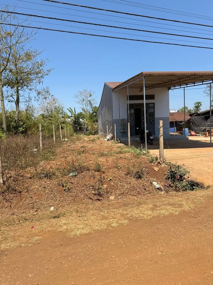 Đất nền Buôn Hồ Đinh Văn Gió 175m² - Sổ đỏ chính chủ!