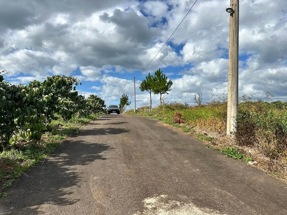 Đất Nền Lộc Ngãi, Bảo Lâm 100m² Thổ Cư - Giá Ngộp 680 Triệu