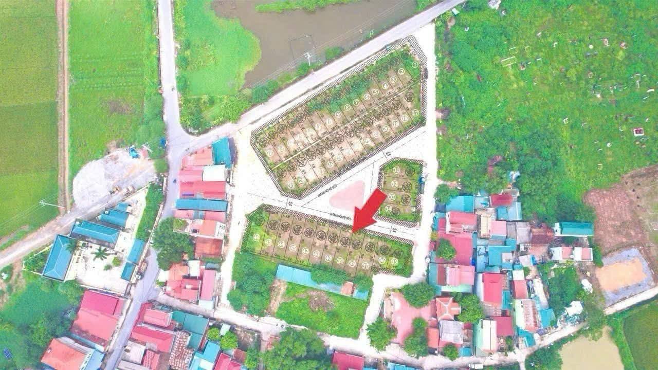 Đất nền Thụy Ứng Thường Tín 113m² - Tiềm năng tăng giá