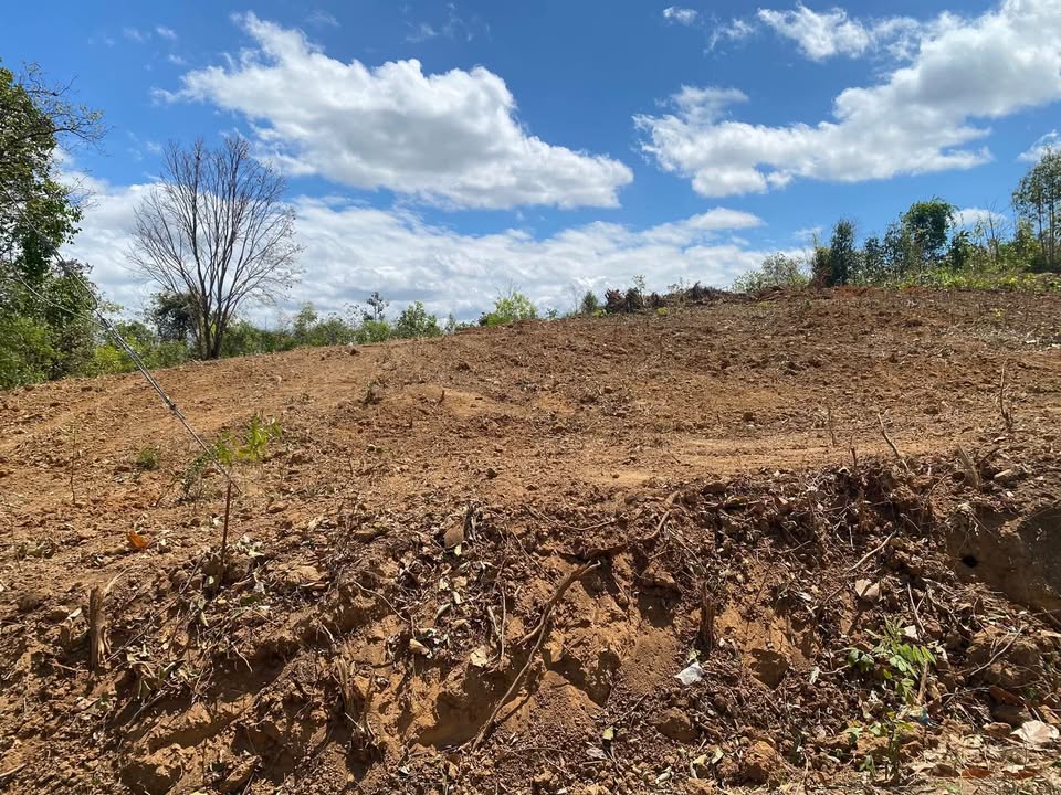 Đất Vườn Đắk Rơ Wa, Kon Tum - 2400m² Sổ Đỏ, Giá Tốt Đầu Tư