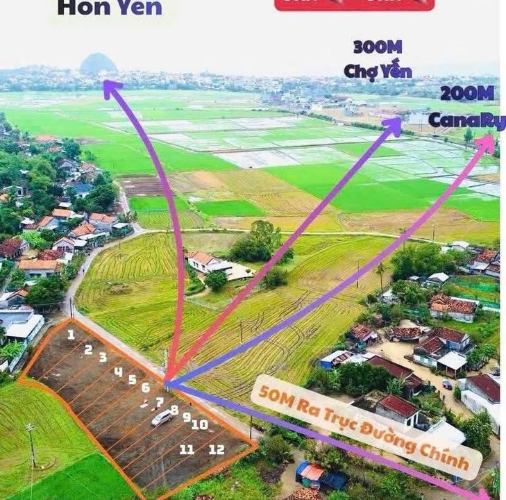 Đất nền Xã An Hiệp, Tuy An, Phú Yên 100m² - Sổ đỏ chính chủ, tiềm năng vàng!