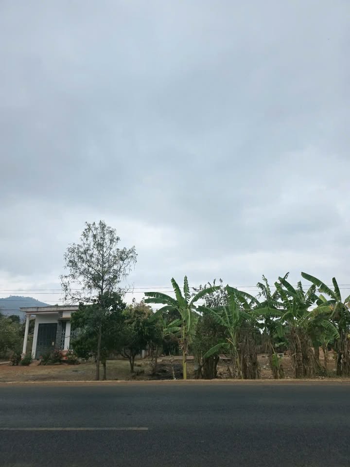 Đất Nền Quốc Lộ 14 Đắk Lắk - 500m² Sổ Đỏ Riêng, Giá Đầu Tư 95 Tỷ