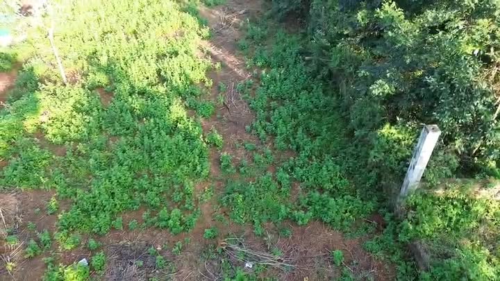 Đất nền Buôn Ma Thuột 340m² - Sổ đỏ chính chủ, đường ô tô!