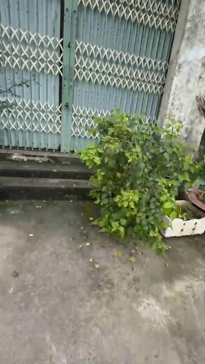 Đất Nền Giao Thủy Nam Định 105m² - View Sông Đồng Mát Mẻ - 2.78 Tỷ