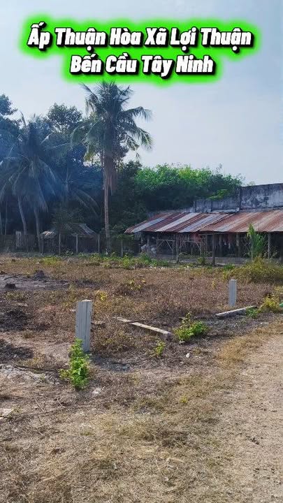 Đất nền Bến Cầu Tây Ninh 65m² – Vị trí đẹp, sổ đỏ chính chủ!