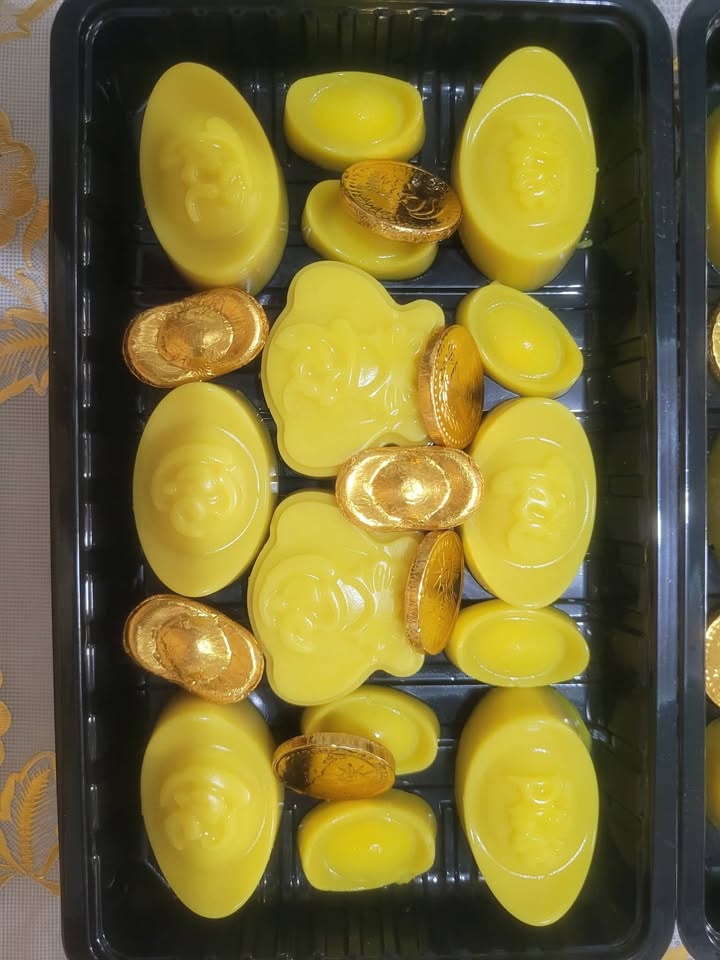 Đất Tặng Nhà Hẻm Ngô Quyền, TP. Tây Ninh - 200m² Thổ Cư, Sổ Đỏ Sẵn Sàng