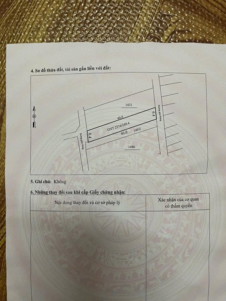 Đất nền TDP Hoàng Giang, Cẩm Thủy 256m² - Sổ hồng sẵn, giá chỉ 900 triệu