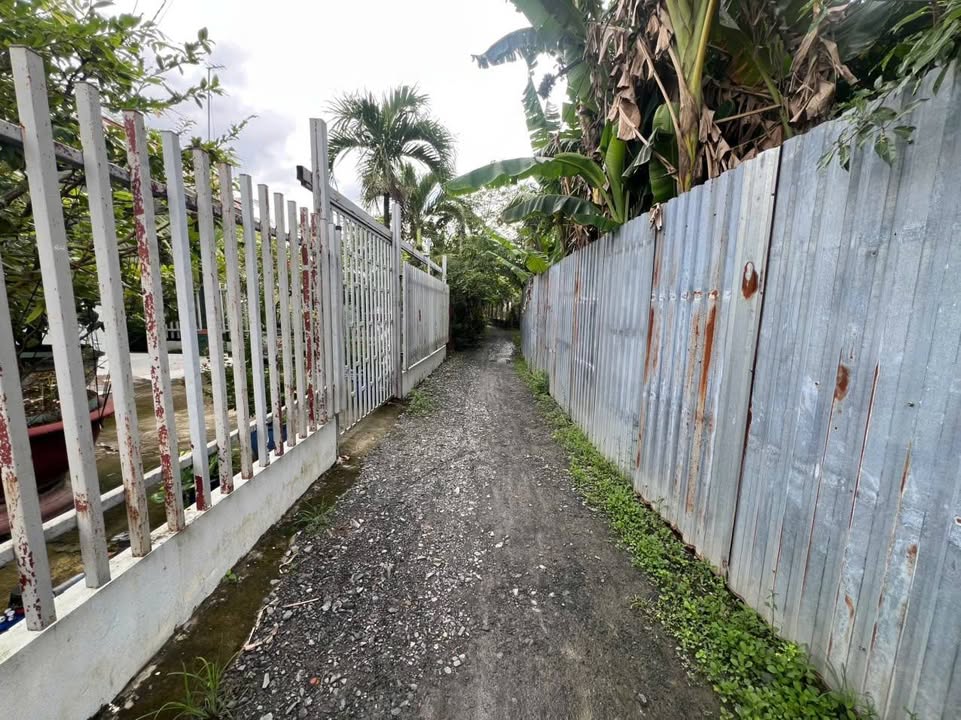 Đất nền Tân Quý Tây, Bình Chánh 121m² giá 1.75 tỷ - Giá đầu tư tốt!